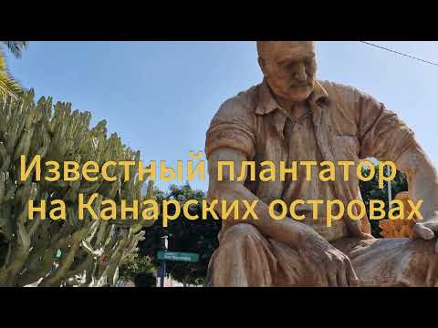 Видео: Канарские острова, гольф, пляжи, жизнь.