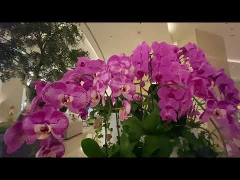 Видео: Куда я иду в Дубае,когда мне морально не хорошо