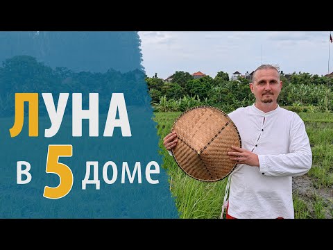 Видео: ЛУНА в 5 ПЯТОМ ДОМЕ |Дмитрий Пономарев
