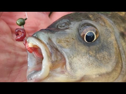 Видео: РУЧЕЙ УДИВИЛ...КАКОЙ ЗДОРОВЯК НА МОРМЫШКУ!!! Осенняя рыбалка карася