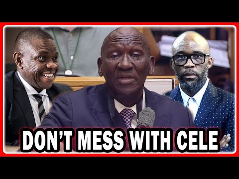 Видео: Показания Беки Селе для Специального комитета по расследованию: «Я видел кошку в Зимбали, и это н...