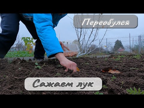Видео: Переобулся Сажаем лук