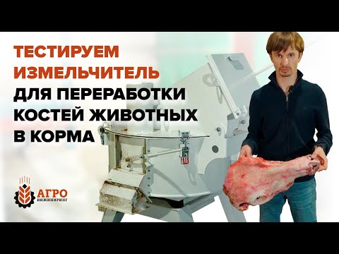 Видео: Измельчитель боенских отходов, эксперимент с переработкой костей КРС.