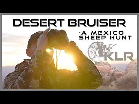 Видео: Desert Bruiser — охота на овец в Мексике