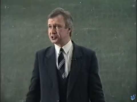 Видео: типы личности часть 2