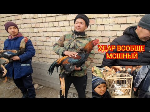 Видео: Кызыл-Кыя тоок базары.Кымбаттап калыптыр