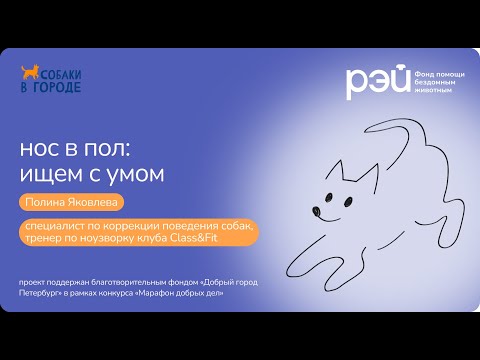 Видео: Нос в пол: ищем с умом