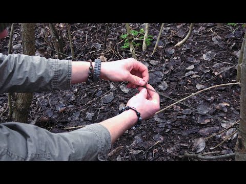 Видео: ЗАПРЕЩЁННАЯ ЛОВУШКА! ИСПОЛЬЗОВАТЬ ТОЛЬКО В ОСОБЫХ СЛУЧАЯХ... ПРАВИЛЬНАЯ УСТАНОВКА НА ФАЗАНА