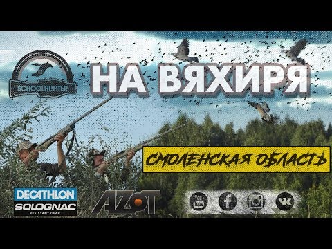 Видео: Охота на вяхиря, Смоленская область.