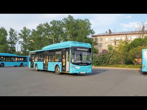 Видео: Автобус №241 заблудился в районе Купчино + вид из кабины Volgabus-5270.G4 (CNG) б.6575 (01.06.2022)