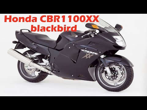 Видео: Даем дрозда!!! Обзор Honda CBR1100XX blackbird.