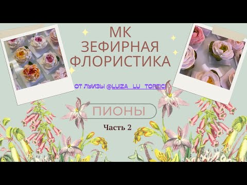 Видео: МК🌸Зефирная флористика ПИОН 🌱 Часть 2+ Рецепт🌱Marshmallow Peony Part 2