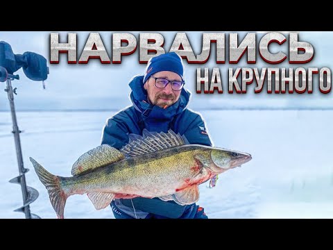Видео: Нашли КРУПНОГО СУДАКА / Зимняя рыбалка / НА ЧТО лучше КЛЮЕТ со льда?!