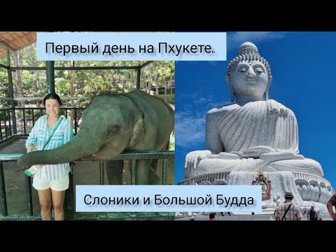 Видео: Первый день на Пхукете. Храм Большого Будды и слоники. #тайланд #пхукет #большойбудда