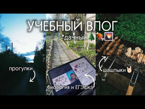 Видео: ДАЧНЫЙ ВЛОГ ХИМБИО🌿// подготовка к ЕГЭ и любимые майские