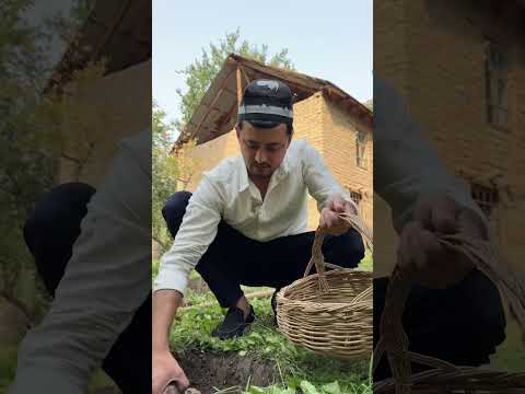 Видео: Сырный шарик🥔 Тарзи пухтани Картошка бо Панир!