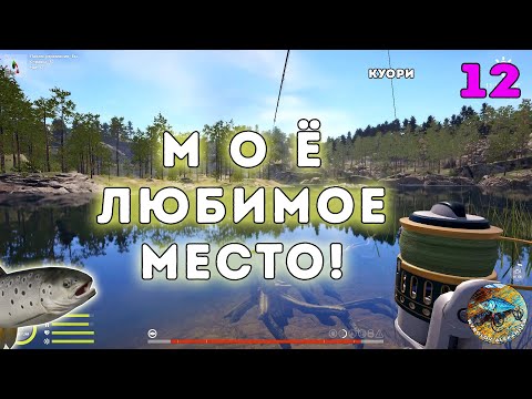 Видео: ЛЮБЛЮ ЭТО МЕСТО! - Куори - Русская рыбалка 4 (РР4) - #12