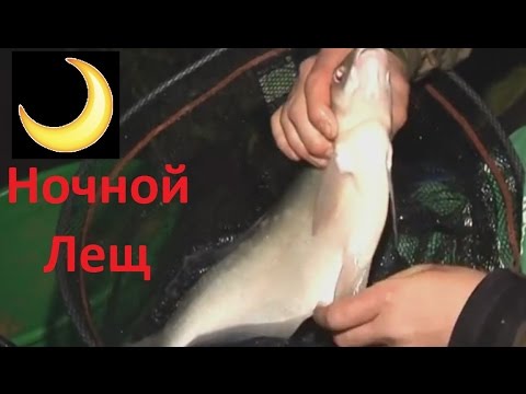 Видео: Истринское водх. Ночная рыбалка. Лещ.