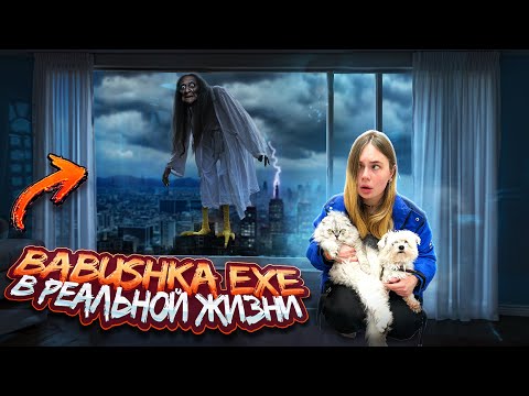 Видео: BABUSHKA.EXE В РЕАЛЬНОЙ ЖИЗНИ | ВОТ ЧТО ПРОИЗОШЛО В ХЕЛЛОУИН В НАШЕМ ДОМЕ С КОТАМИ