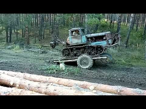 Видео: Сделал дело гуляй смело