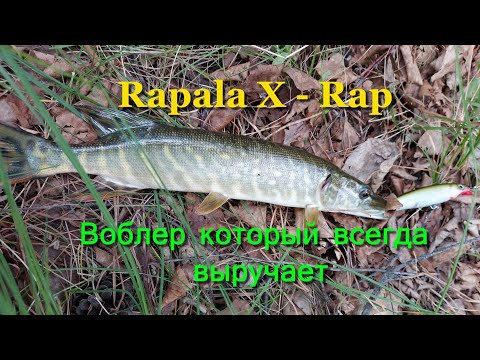 Видео: Rapala X - Rap - воблер который всегда выручает. Рыбалка после изоляции. Рыбалка 2020