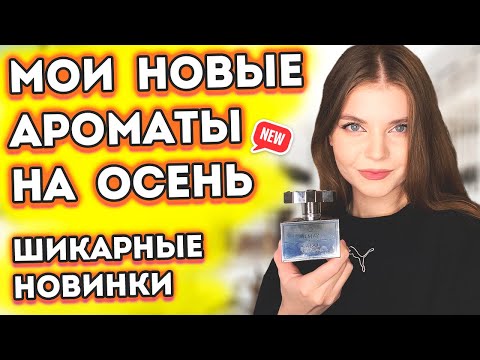 Видео: МОИ НОВЫЕ АРОМАТЫ НА ОСЕНЬ 2022 🍂ЖАДНЫЕ И НАЗОЙЛИВЫЕ КОНСУЛЬТАНТЫ В ЛЕТУАЛЬ🤬НОВЫЕ ВАУ АРОМАТЫ🤩