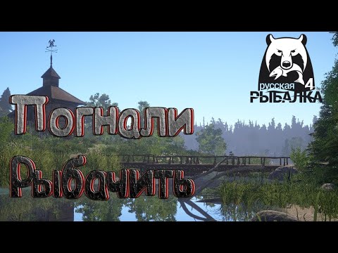 Видео: РР4|НЕ ТРОЛИЛ-НЕ РЫБАК!|Собираем на хорошие доночные сборки