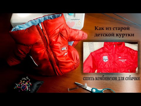 Видео: Как сшить комбинезон для йорка из старой детской куртки?