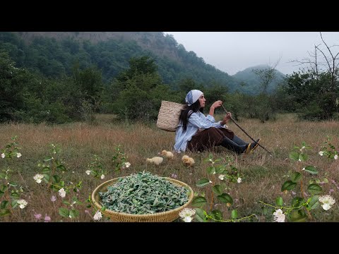 Видео: Каперсы - это растение можно собирать только рано утром! Разная кухня в деревне!