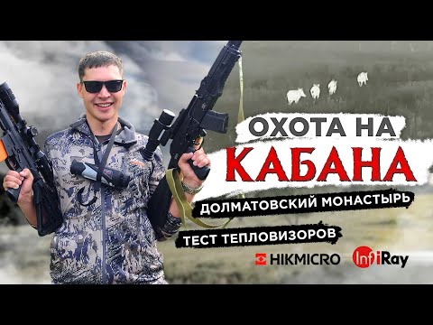 Видео: Охота на кабана Тест тепловизоров IRAY  HIKMICRO  Долматовский монастырь