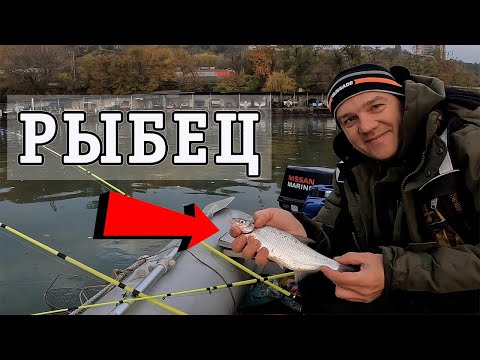 Видео: ОСЕННИЙ РЫБЕЦ. РОСТОВ-НА-ДОНУ. РЫБАЛКА С ЛОДКИ.