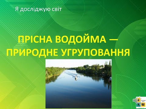 Видео: Урок 51 ПРІСНА ВОДОЙМА — ПРИРОДНЕ УГРУПОВАННЯ