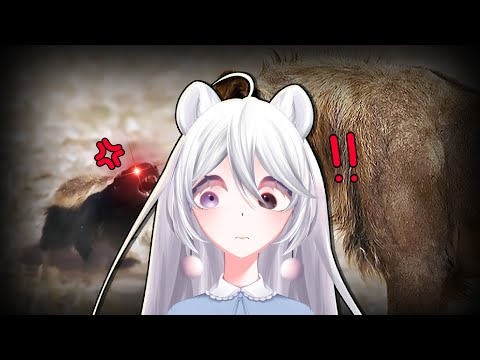 Видео: Медоеды НИЧЕГО не боятся | Casual Geographic React