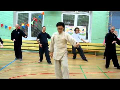 Видео: Ван Лин Тайцзи Ян 24 формы Вонзить иглу в морское дно [2]