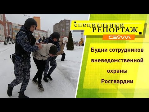 Видео: Специальный репортаж Выпуск 23.01.2024 Росгвардия