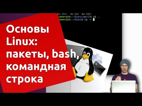 Видео: Основы Ubuntu Linux: apt-get, bash, командная строка