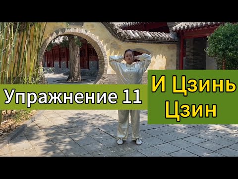 Видео: Одиннадцатое упражнение И Цзинь Цзин. Дарья Патока. Обновление связок и сухожилий. Урок 5