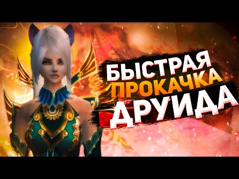 Видео: БЫСТРАЯ ПРОКАЧКА ДРУИДА НА COMEBACKPW 136 | PERFECT WORLD