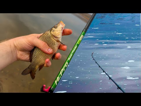 Видео: Весенняя рыбалка на фидер 2025 карп, карась и густера на фидер