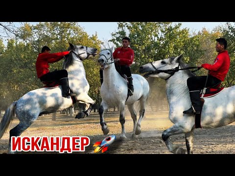 Видео: Аспи бузи гарантия 25 октября 2025 г.