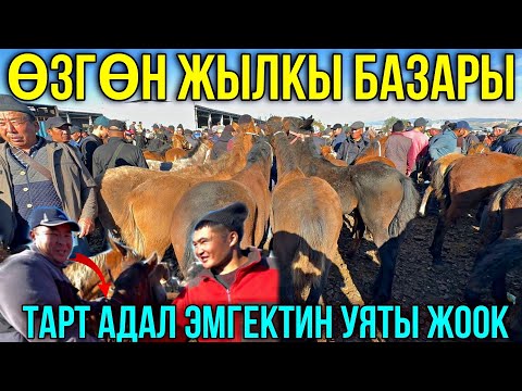 Видео: БЭЭ БАЙТАЛ КУЛУН БААЛАРЫ 🤯 #байтв