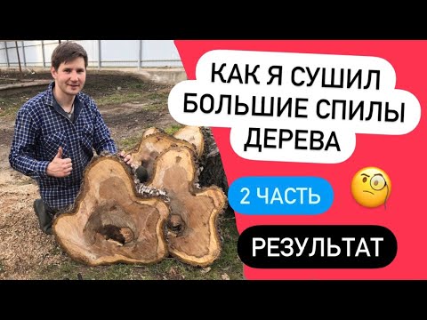 Видео: Как я сушил большие спилы. Результат