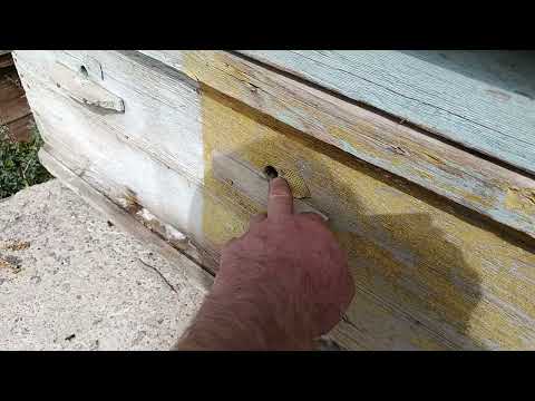 Видео: Литок дари хонаи занбурро чи кадар кунем дар тирамох барои зимистон гузарони.