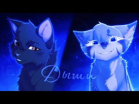 Видео: 〖 Warrior Cats - Крутобок и Серебрянка 〗Дыши | Виктория Дайнеко