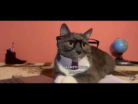 Видео: котинет 4 серия 2 сезон случай в роблокс