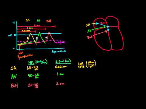 Видео: Гонка за сердечный ритм