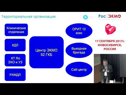 Видео: Международная школа ЭКМО, Новосибирск 17 09 2017  Кецкало М В