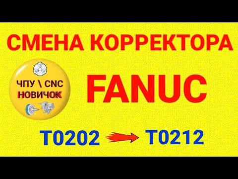 Видео: Множество корректоров в одном гнезде