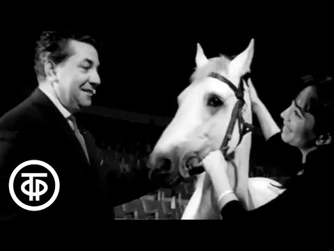 Видео: Мы идем в цирк (1964)