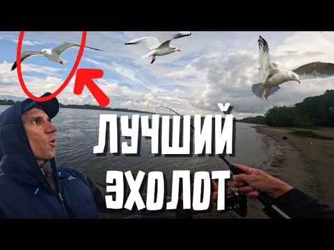 Видео: ЗАБРОСИЛ  где ЧАЙКИ и ВОТ ЧТО ВЫШЛО! Береговой спиннинг на Оби в Новосибирске. Отводной поводок.
